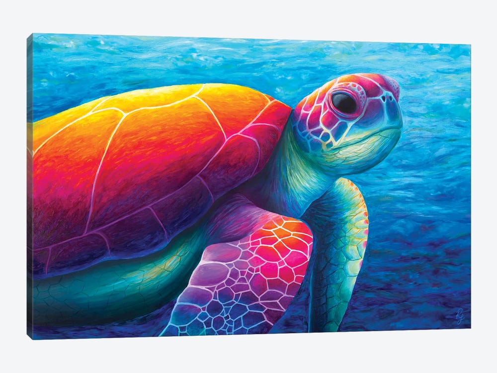 Turtle by Rachel Froud 1-piece Art Print