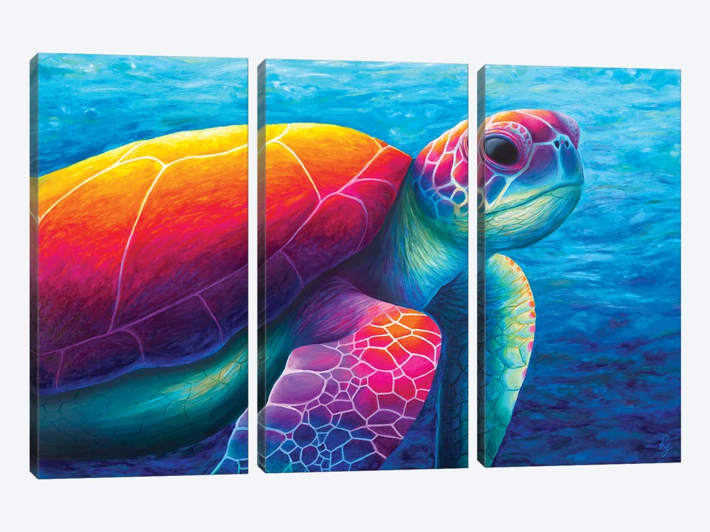 Turtle by Rachel Froud 3-piece Canvas Art Print