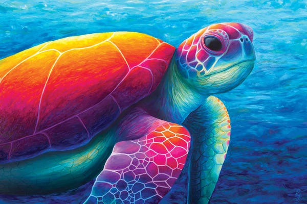 Chromatic Kingdom: Turtle by Rachel Froud