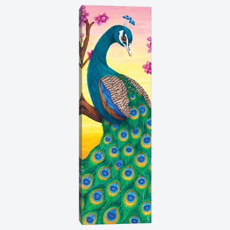 Peacock Canvas Print #RCF18} by Rachel Froud Canvas Wall Art