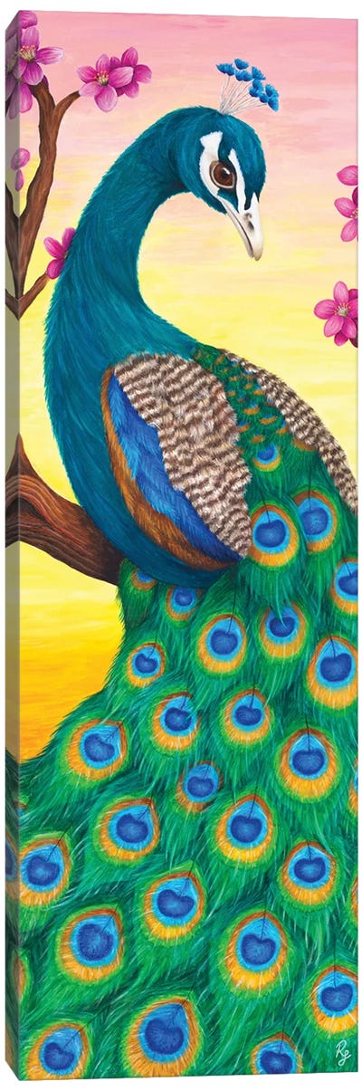Peacock Canvas Art Print - Rachel Froud