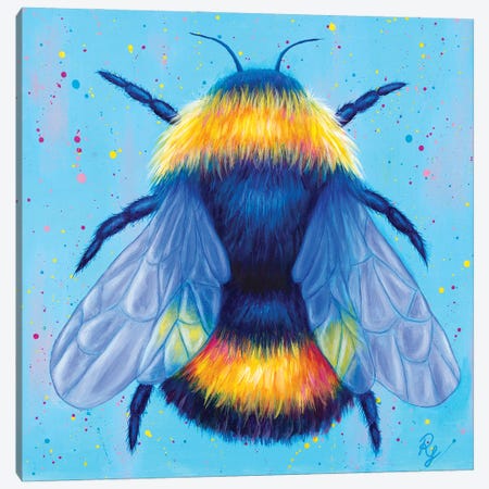 Bee Canvas Print #RCF19} by Rachel Froud Canvas Wall Art