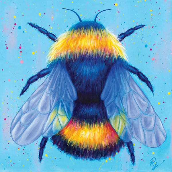 Chromatic Kingdom: Bee by Rachel Froud