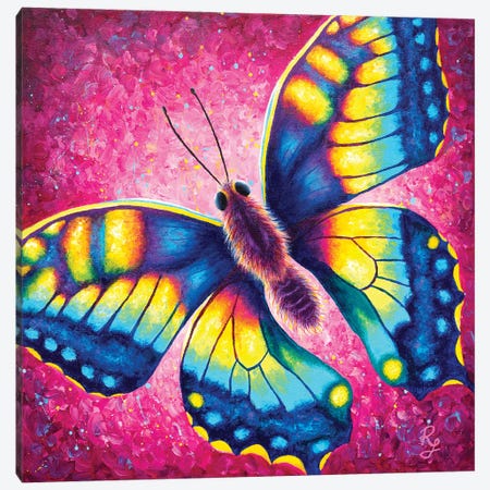 Butterfly Canvas Print #RCF1} by Rachel Froud Canvas Wall Art