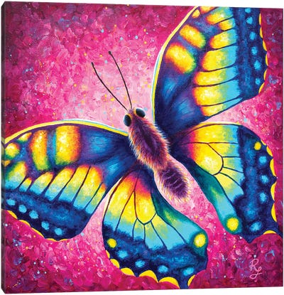 Butterfly Canvas Art Print - Chromatic Kingdom