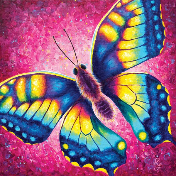 Chromatic Kingdom: Butterfly by Rachel Froud