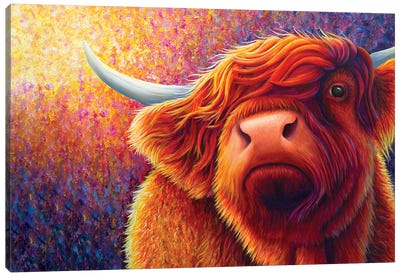 Highland Cow At Sunset Canvas Art Print - Chromatic Kingdom