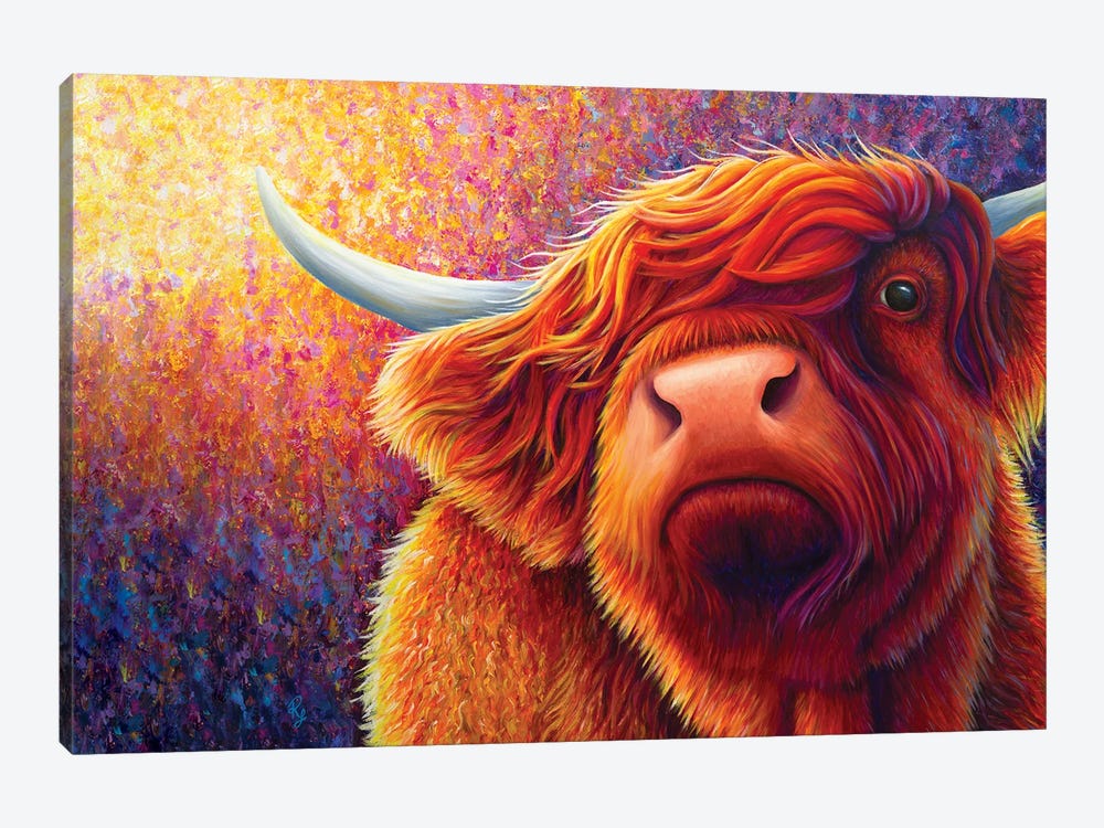 Highland Cow At Sunset by Rachel Froud 1-piece Art Print