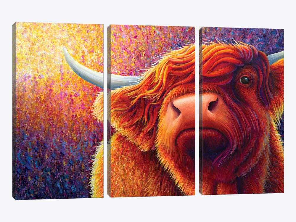 Highland Cow At Sunset by Rachel Froud 3-piece Canvas Print