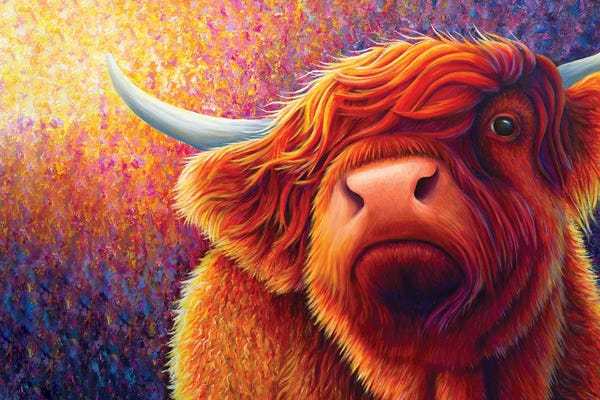 Chromatic Kingdom: Highland Cow At Sunset by Rachel Froud