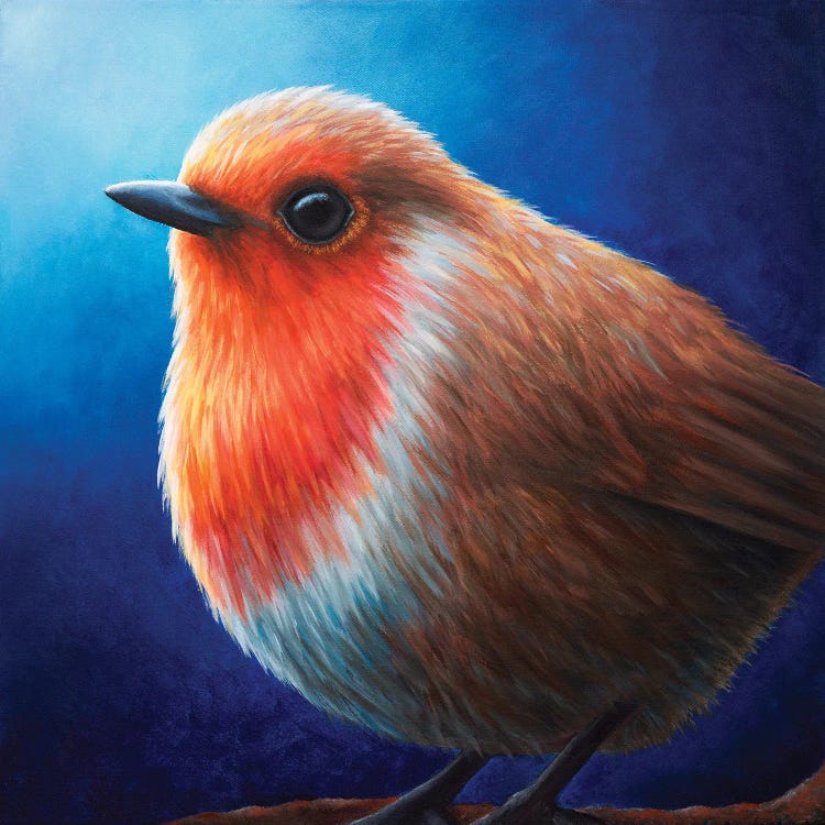Robin by Rachel Froud wall art
