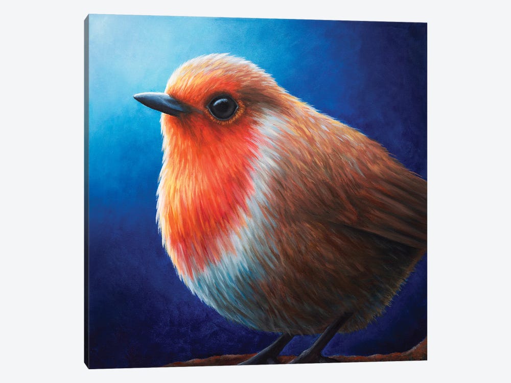 Robin by Rachel Froud 1-piece Canvas Artwork