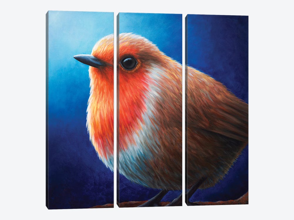 Robin by Rachel Froud 3-piece Canvas Art