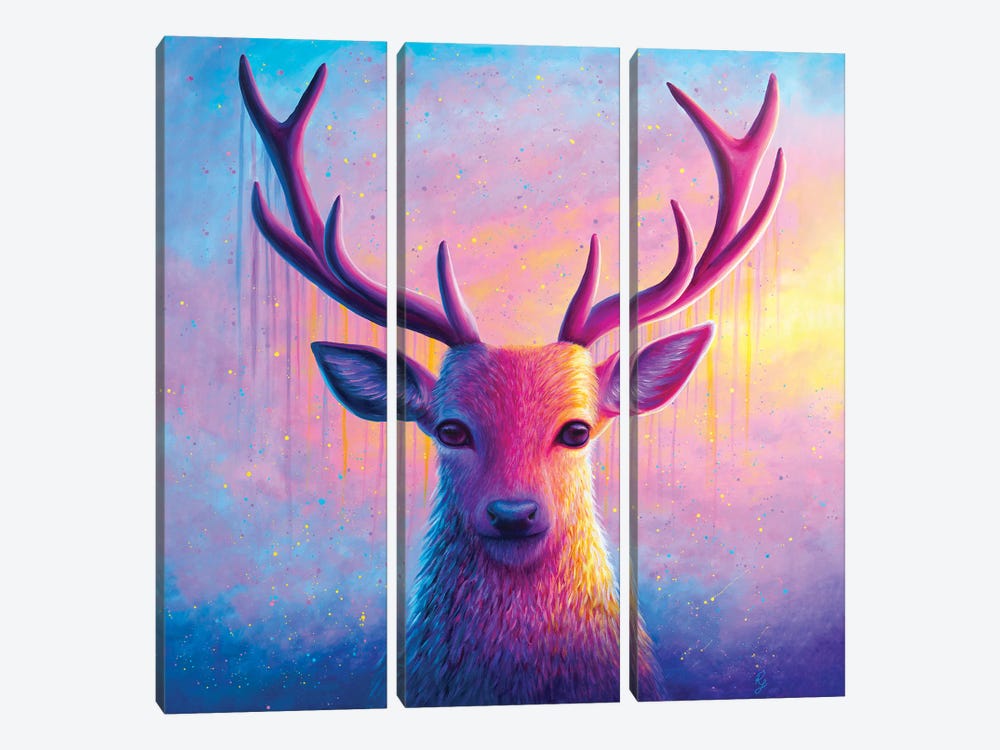 Stag by Rachel Froud 3-piece Canvas Print