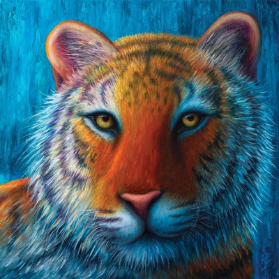 Tiger by Rachel Froud metal wall art