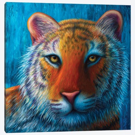 Tiger Canvas Print #RCF23} by Rachel Froud Canvas Print