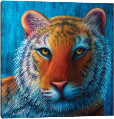 Tiger Canvas Art Print - Rachel Froud