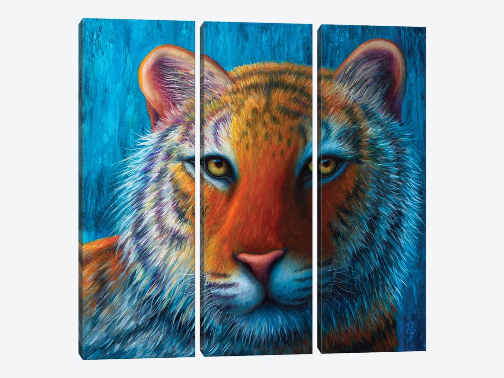 Tiger by Rachel Froud 3-piece Canvas Artwork