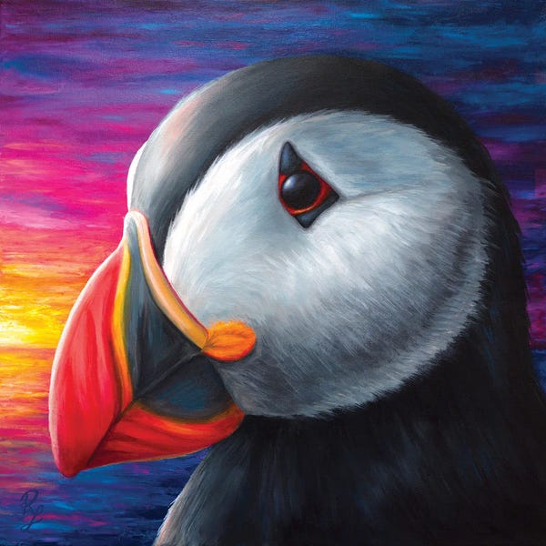Chromatic Kingdom: Puffin by Rachel Froud