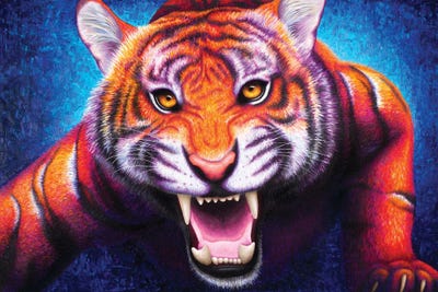 Roaring Tiger by Rachel Froud metal wall art