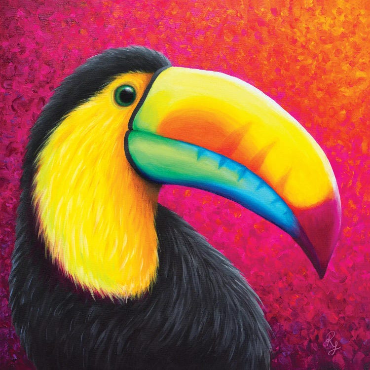 Toucan