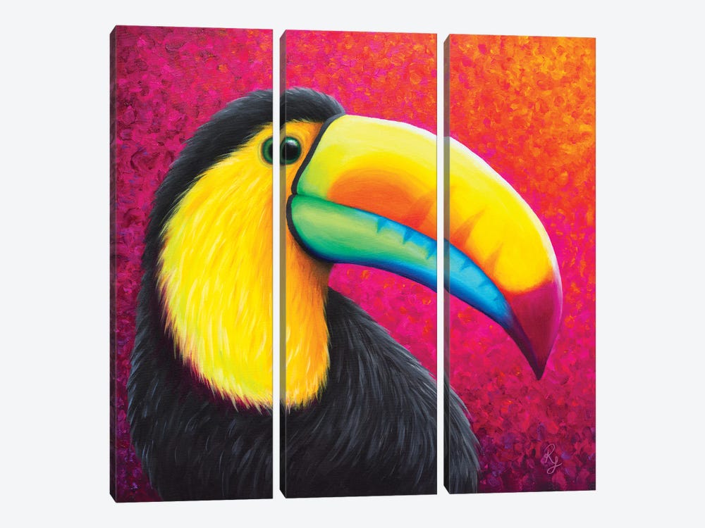Toucan by Rachel Froud 3-piece Art Print