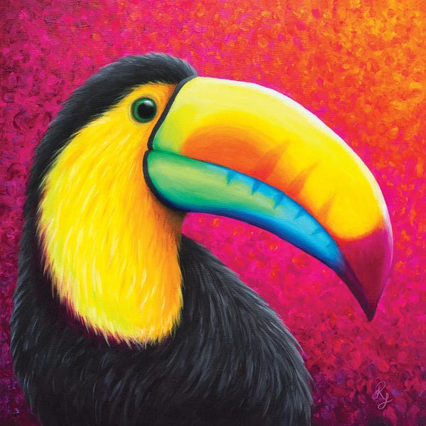 Chromatic Kingdom: Toucan by Rachel Froud