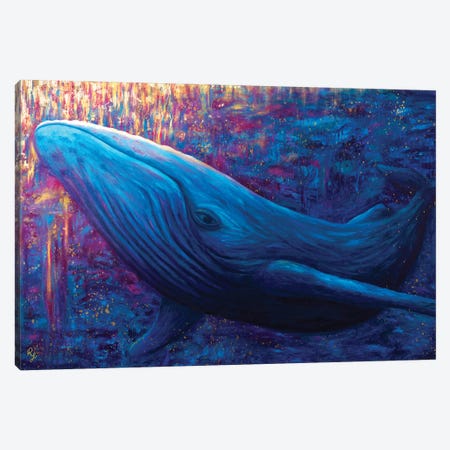 Whale Canvas Print #RCF28} by Rachel Froud Canvas Print