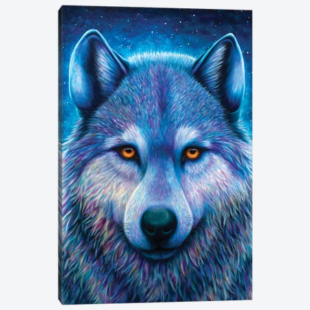 Wolf Canvas Print #RCF29} by Rachel Froud Canvas Print