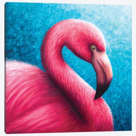 Flamingo Canvas Print #RCF2} by Rachel Froud Canvas Artwork