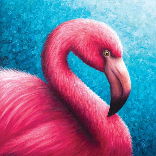 Chromatic Kingdom: Flamingo by Rachel Froud