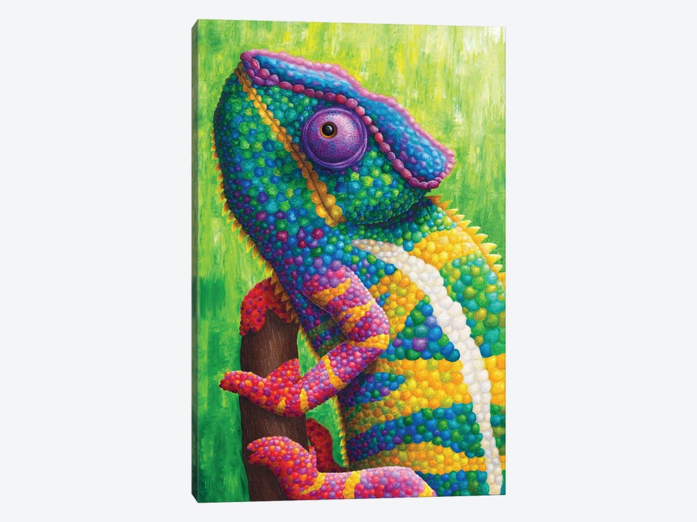 Colorful Chameleon by Rachel Froud 1-piece Canvas Wall Art