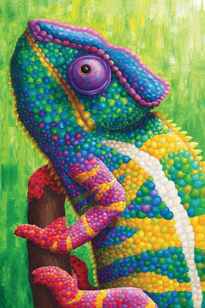 Chromatic Kingdom: Colorful Chameleon by Rachel Froud