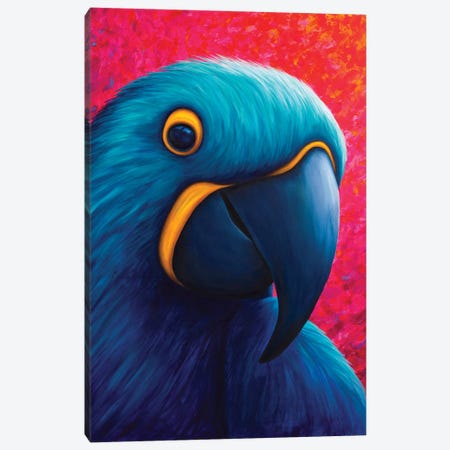 Blue And Yellow Macaw Canvas Print #RCF31} by Rachel Froud Canvas Artwork