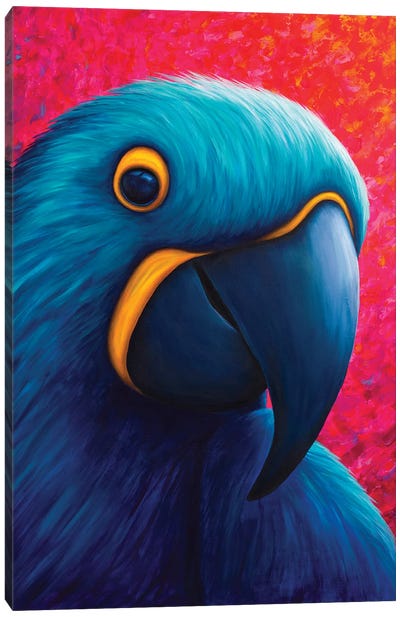 Blue And Yellow Macaw Canvas Art Print - Macaw Art