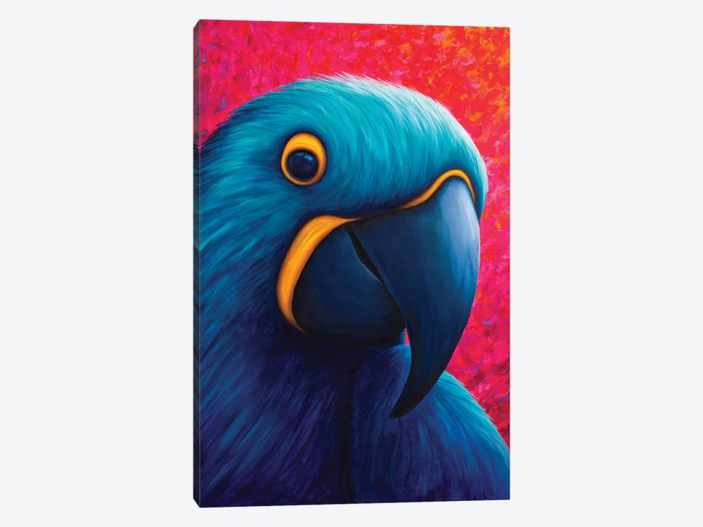 Blue And Yellow Macaw by Rachel Froud 1-piece Art Print