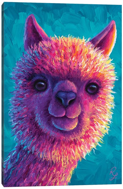 Alpaca Canvas Art Print