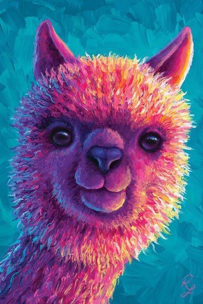 Chromatic Kingdom: Alpaca by Rachel Froud