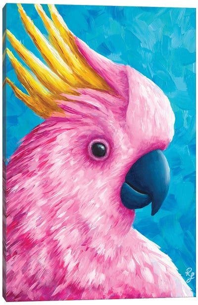 Cockatoo Canvas Art Print - Rachel Froud
