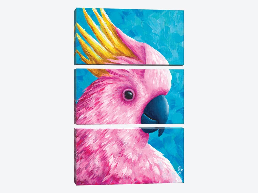 Cockatoo by Rachel Froud 3-piece Canvas Art