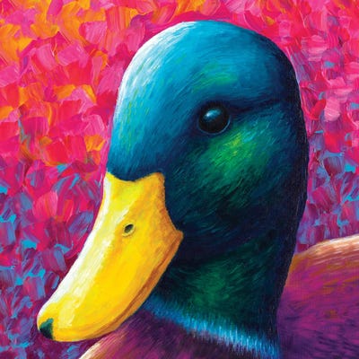 Duck by Rachel Froud metal wall art
