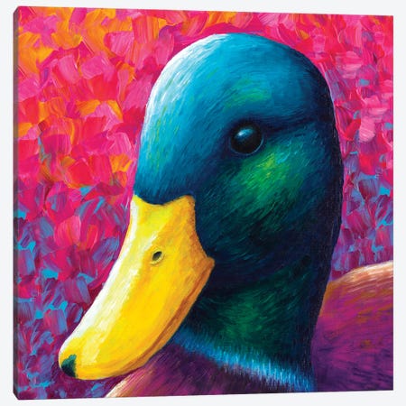 Duck Canvas Print #RCF35} by Rachel Froud Art Print