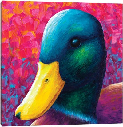 Duck Canvas Art Print - Chromatic Kingdom