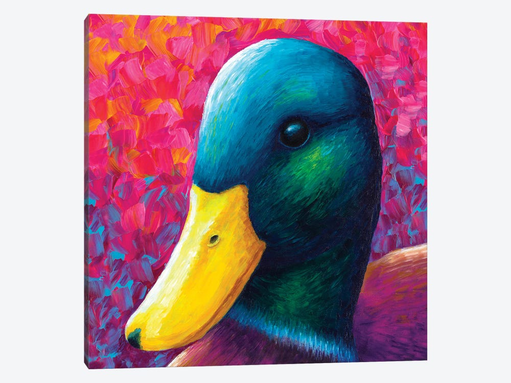 Duck by Rachel Froud 1-piece Canvas Print