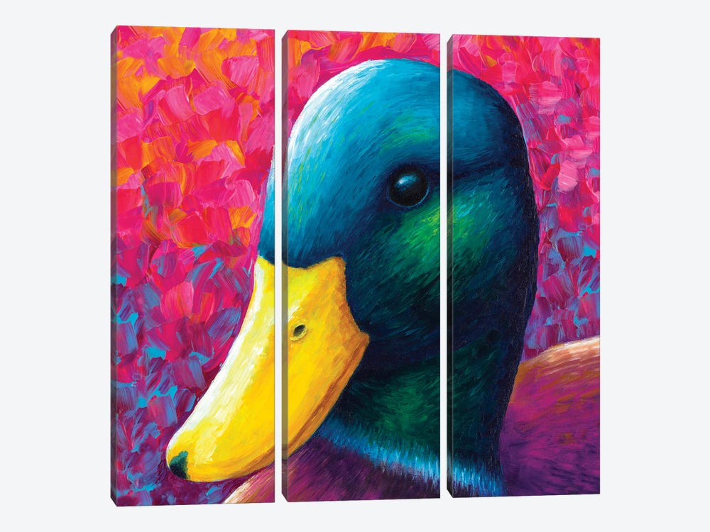Duck by Rachel Froud 3-piece Canvas Art Print