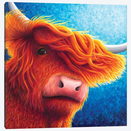 Highland Cow Canvas Print #RCF5} by Rachel Froud Canvas Print