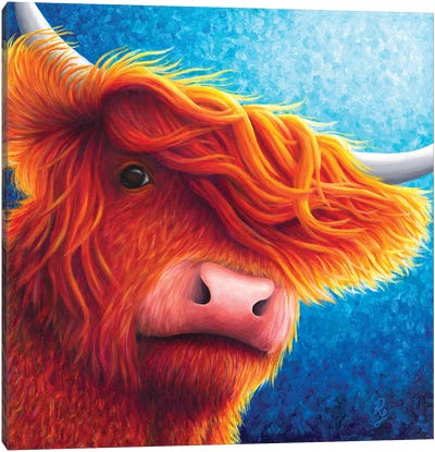 Highland Cow Canvas Art Print - Rachel Froud