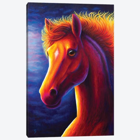 Horse Canvas Print #RCF6} by Rachel Froud Art Print