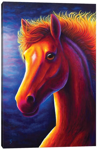 Horse Canvas Art Print - Chromatic Kingdom