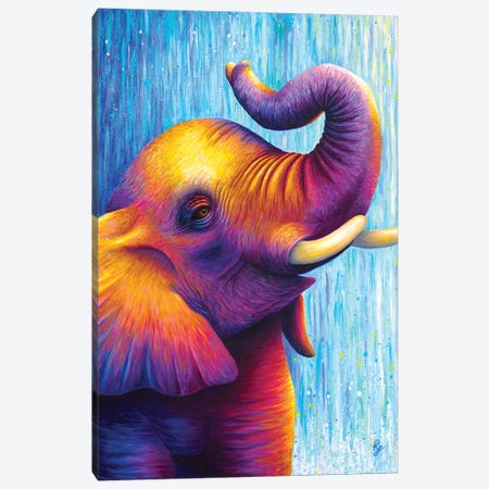 Elephant Canvas Print #RCF8} by Rachel Froud Canvas Art